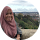 Mira Ramli